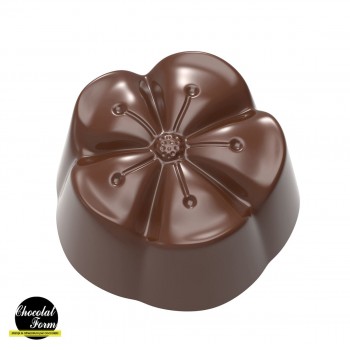 CF0260 Поликарбонатная форма для шоколада Mochi 4